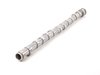 ES#2144668 - 11317576160 - Camshaft - Intake - Usually replaced in conjunction with a faulty cam bearing ledge - Genuine BMW - BMW