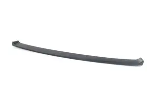 Lower Rear Bumper Trim - center