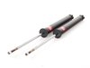 ES#2771060 - 343352KT - Rear Shock Absorber - Pair  - Pair of left and right rear shocks - KYB - BMW