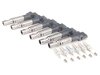 ES#2771872 - 95517022090KT2 - Ignition Service Kit - Includes spark plugs and ignition coils - Genuine Porsche - Porsche