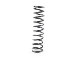 Coil Spring - Rear