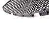 ES#74901 - 51117895739 - E60 M5 M Trim Center grid - genuine BMW Front bumper center grid - Genuine BMW - BMW