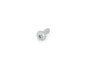 Torx Bolt For Plastic Material - Priced Each