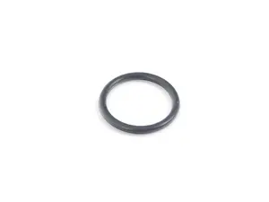 Water Pump O-Ring