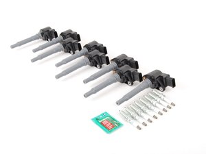 ES#3046201 - 1569060500KT1 - M156 Ignition Service Kit - Includes eight Delphi ignition coils and eight NGK spark plugs - Assembled By ECS - Mercedes Benz