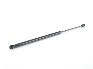 Trunk strut 