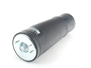 Rear Pneumatic Air Spring - Left
