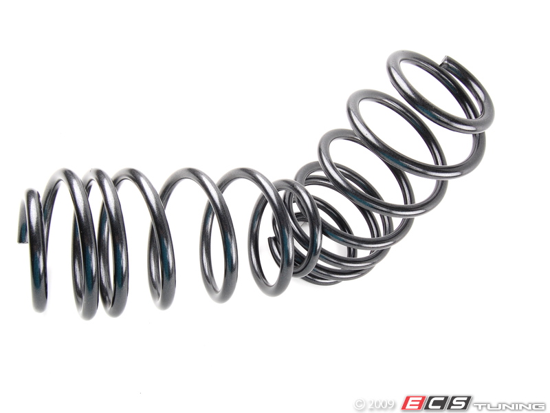 ECS News Volkswagen CC Lowering Springs