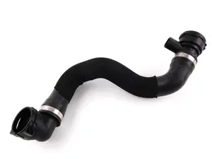 Radiator Hose - Lower