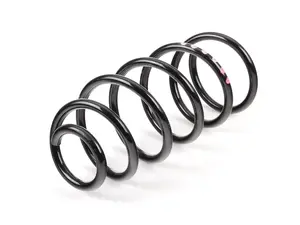 Front Coil Spring - Priced Each 