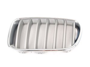 ES#2138285 - 51117237421 - Front Grill - Left - Titan - Genuine BMW - BMW