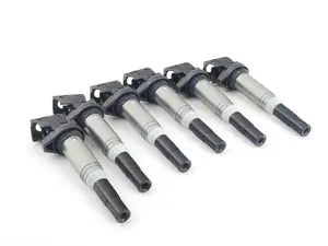 Ignition Coil - Set Of Six