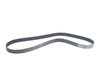 ES#2730261 - 021145933C - Accessory Belt - Ribbed rubber belt for driving engine accessory components - 1290mm length - Continental - Volkswagen