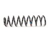 ES#1761363 - 2113211704 - Front Coil Spring - Priced Each - One (1) Blue And One (1) Red Paint Marking - Fits Left Or Right Side - Genuine Mercedes Benz - Mercedes Benz