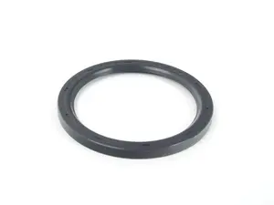 Rear Crankshaft Seal