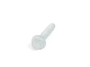 Hex screw with flange - Priced Each