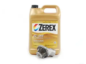 Thermostat Replacement Kit
