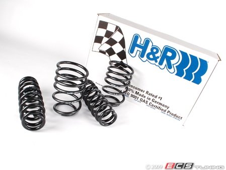 ES#261651 - 50490-88 - Race Springs Set - Aggressive looks and ultimate handling for street or track - H&R - BMW