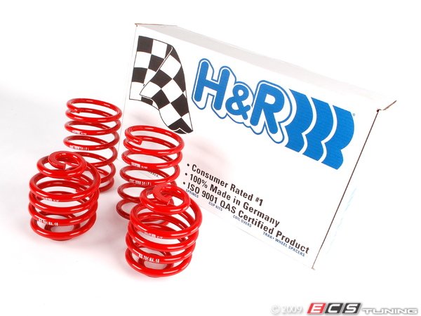 H&R Race Springs BMW 325i E30 85-91 | (50404-88) (w/HW) main image 0