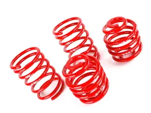E30 Race Spring Set