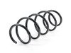 ES#1727658 - 2033216204 - Front Coil Spring - Priced Each - One (1) green paint marking, fits left or right side - Genuine Mercedes Benz - Mercedes Benz