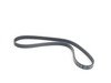 ES#2792984 - 07K145933G - Accessory Drive Belt - Used for the AC compressor - Continental - Volkswagen