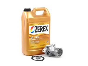 Thermostat Replacement Kit