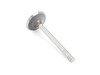 ES#2695500 - 038109601f - Intake Valve - Priced Each - Located inside the cylinder head - Febi - Volkswagen