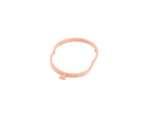 Coolant Flange Gasket