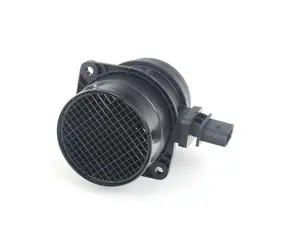 Mass Air Flow Sensor (MAF)