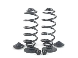 Rear Coil Spring Conversion Kit