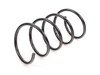 ES#1727653 - 2033214804 - Front Coil Spring - Priced Each - Two (2) red and one (1) white paint marking, fits left or right side - Genuine Mercedes Benz - Mercedes Benz