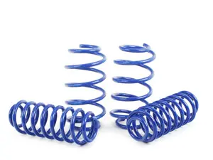 VWR Beetle Sport Springs