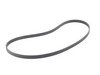 ES#2698111 - 11287631817 - Accessory Belt  - Drives the water pump and alternator - Genuine BMW - BMW