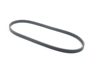Accessory Belt 