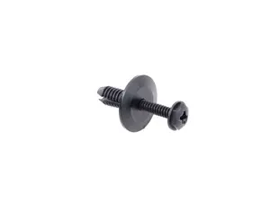Expanding rivet - Priced Each