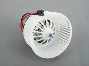 Blower Motor