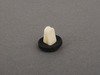 ES#181959 - 65138387414 - Expanding Nut - Priced Each - Used to mount the hood cable and release handle - Genuine BMW - BMW