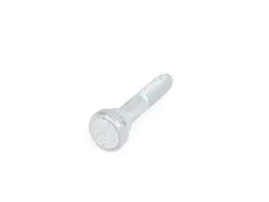 Eccentric Bolt 