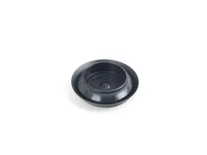 BLIND PLUG