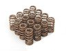 ES#2770752 - MS100085 - APR Performance Valve Spring Set - (NO LONGER AVAILABLE) - Full set of Intake and Exhaust valve springs with retainers - APR - 