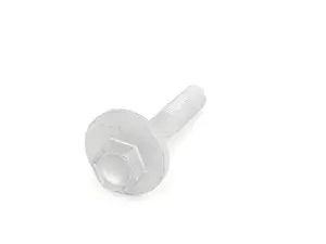 Eccentric Screw - priced each