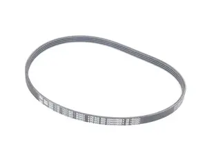 Accessory Belt - Air Conditioning Compressor