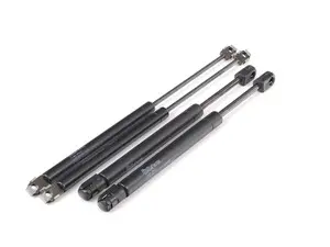 Hood And Trunk Strut Kit