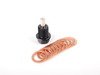 ES#2804343 - 001196ECS01AKT2 - Magnetic Oil Drain Plug - With 10 Copper Washers  - Capture harmful particles to prevent wear. M14x1.5 - ECS - Audi Volkswagen MINI Porsche