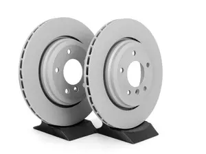 Rear Brake Rotors - Pair (320x22)
