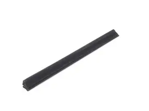 Window Seal - Left Side