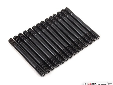 ES#2570243 - 201-4303 - ARP Cylinder Head Stud Kit - Stud conversion set up with 12 point fastening nuts - ARP - BMW