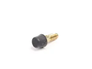 Brake Bleeder Valve
