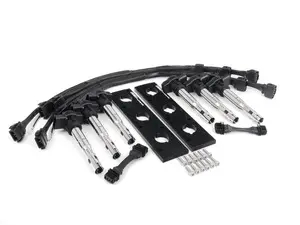  2.0T Coil Pack Conversion Kit - Anodized Black Plates With Black Coil Packs